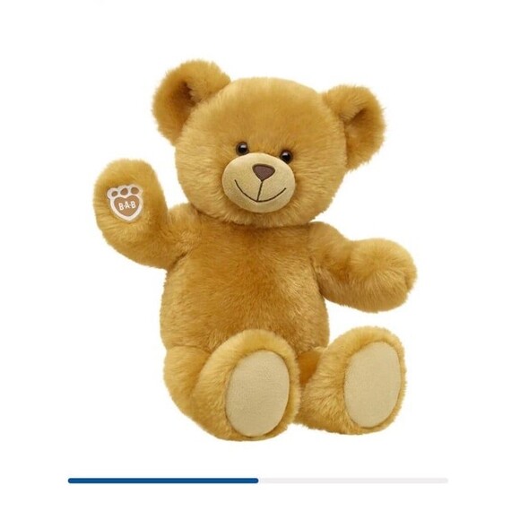 Build-A-Bear Read Bear - Picture 2 of 7